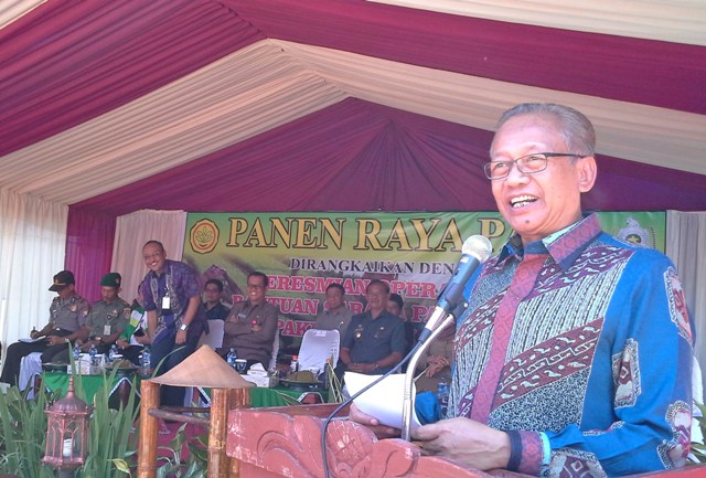 Tiru Petani Jepang agar Pemuda Mau ke Sawah